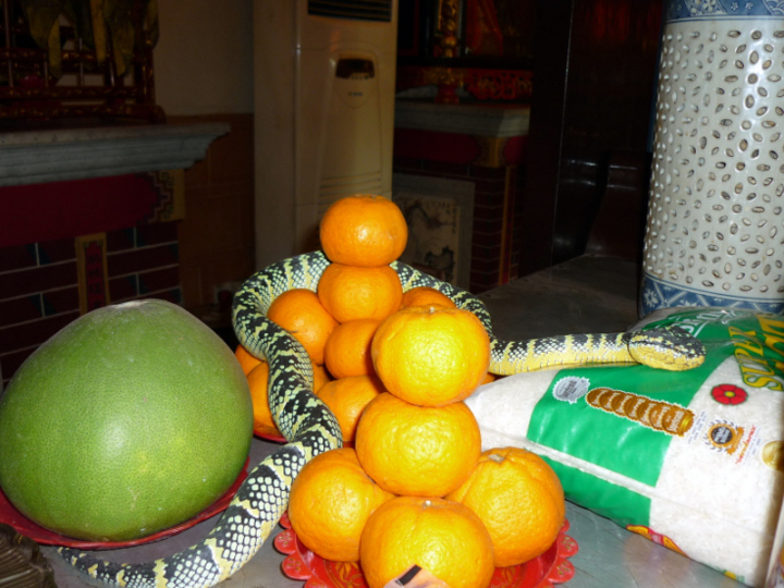 Snake Temple offerings of rice, oranges and melons.